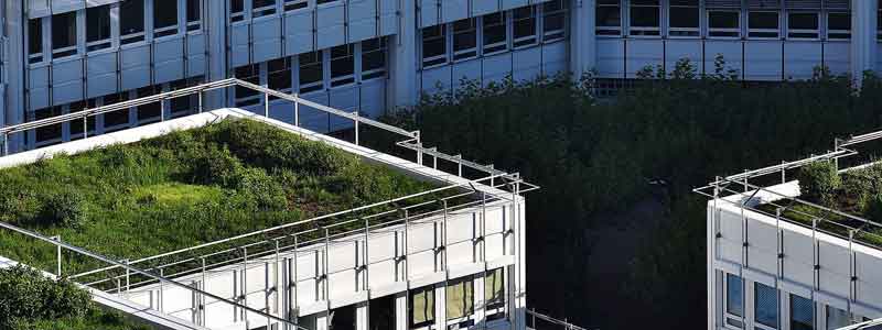 Roof garden for sustainable drainage